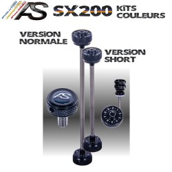 Kit couleur Arc Système SX200